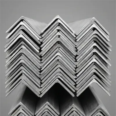 Stainless Steel Angle