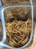 miniatura de imagen