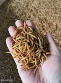 миниатюра изображения