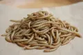 miniatura de imagen