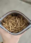 image thumbnail