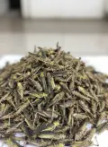 Dried Locust Supplier for Pet Food
