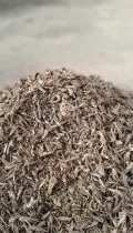 миниатюра изображения