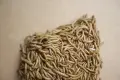 Industrial-Scale Bulk Producer of Black Soldier Fly Protein