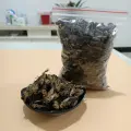 الجملة بالعربية: