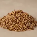 miniature image
