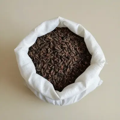 Bulk Dried Crickets for Shrimp Feed