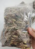 Saltamontes secos a granel para la cría comercial de gallinas ponedoras