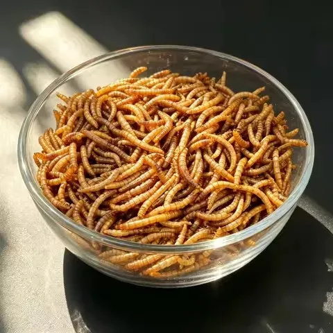 Chinese Freeze-Dried Insect Manufacturer