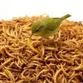 image thumbnail