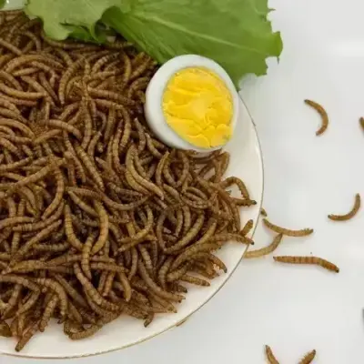 High-calcium worms