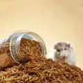 image thumbnail