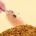 image thumbnail
