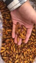 миниатюра изображения
