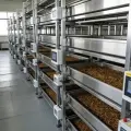 Natural high calcium worms