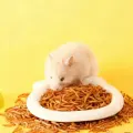 Natürlicher Lebendprotein-Futterwurm