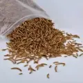 Gusanos de calcio con alto contenido proteico